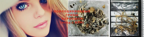 молекула духа Аркадак